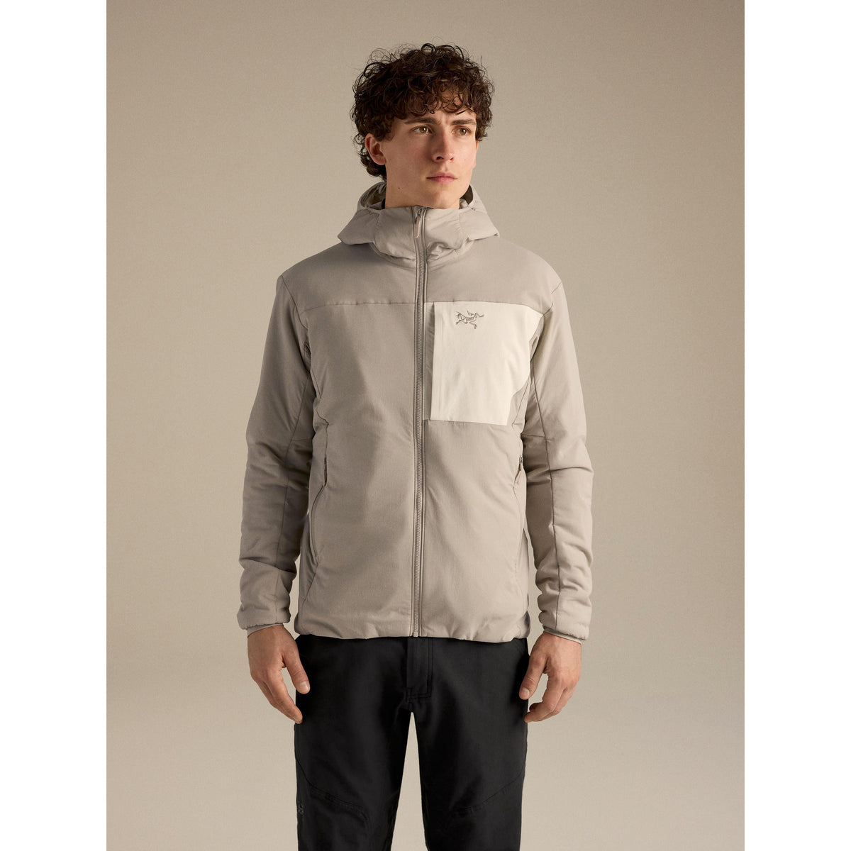Arc'teryx Men's Proton Hoody