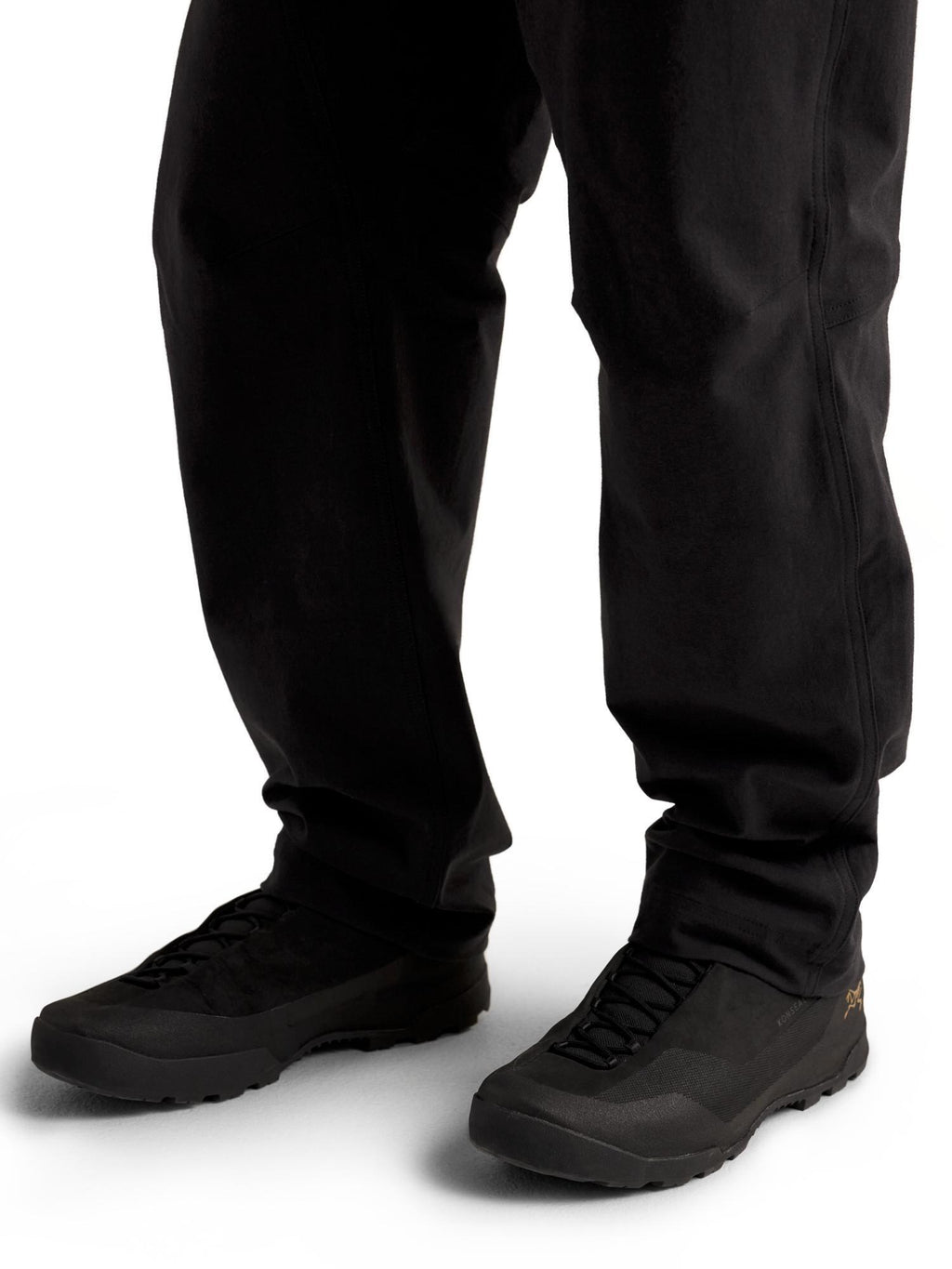 Arc'teryx Men's Cronin AR Pant