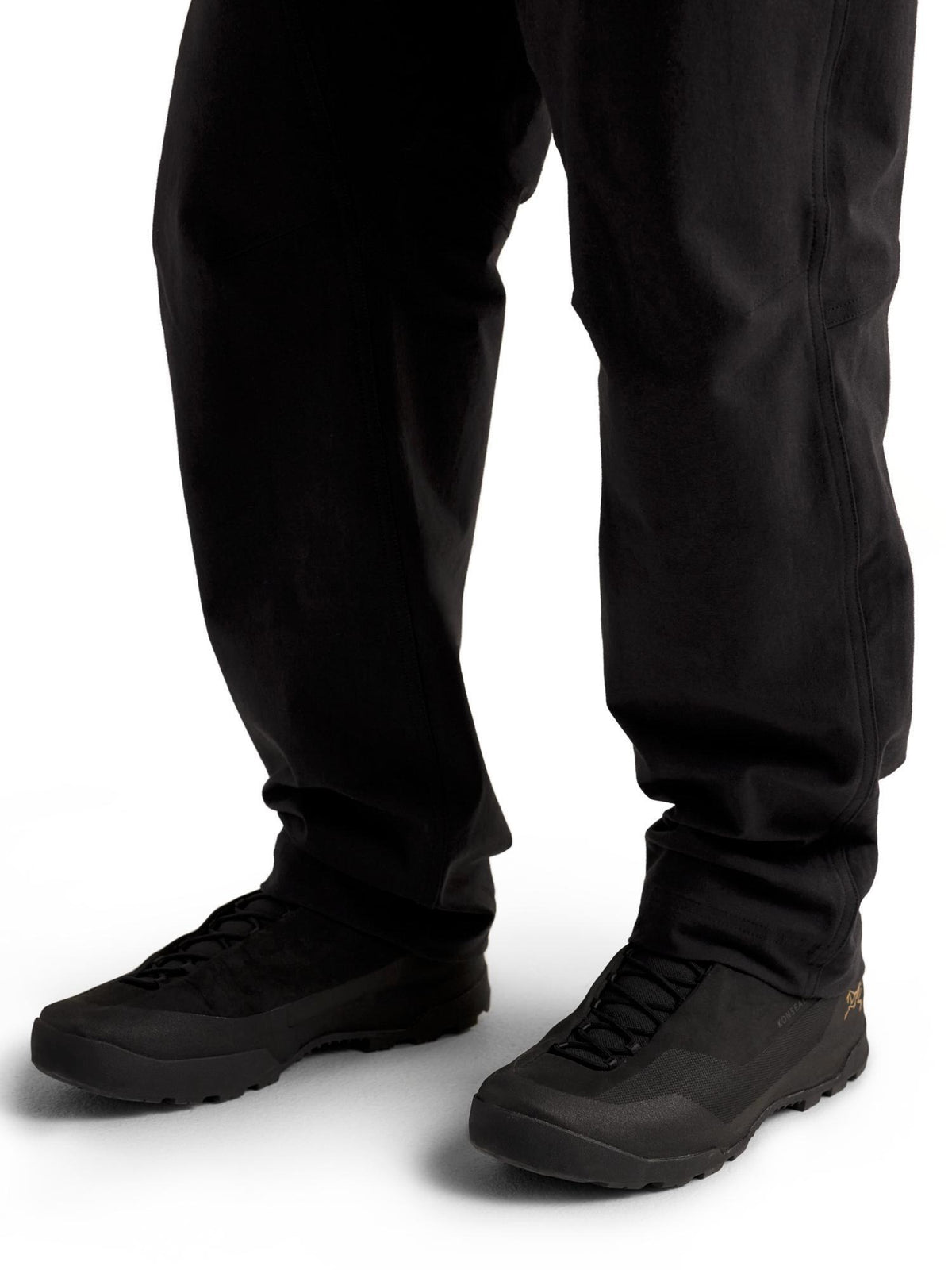 Arc'teryx Men's Cronin AR Pant