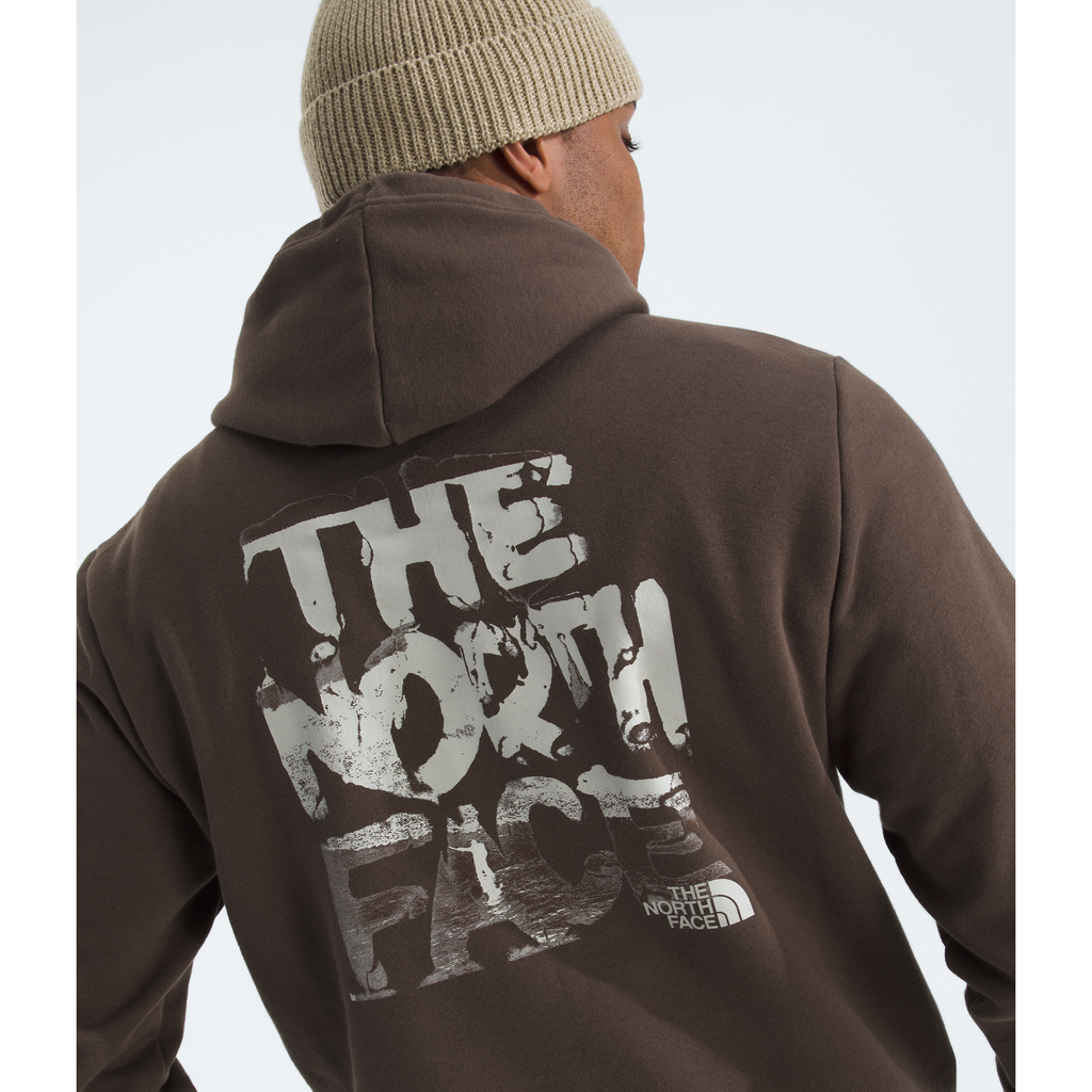 The North Face Men's Evolution Nature Exposure Hoodie - Graphic