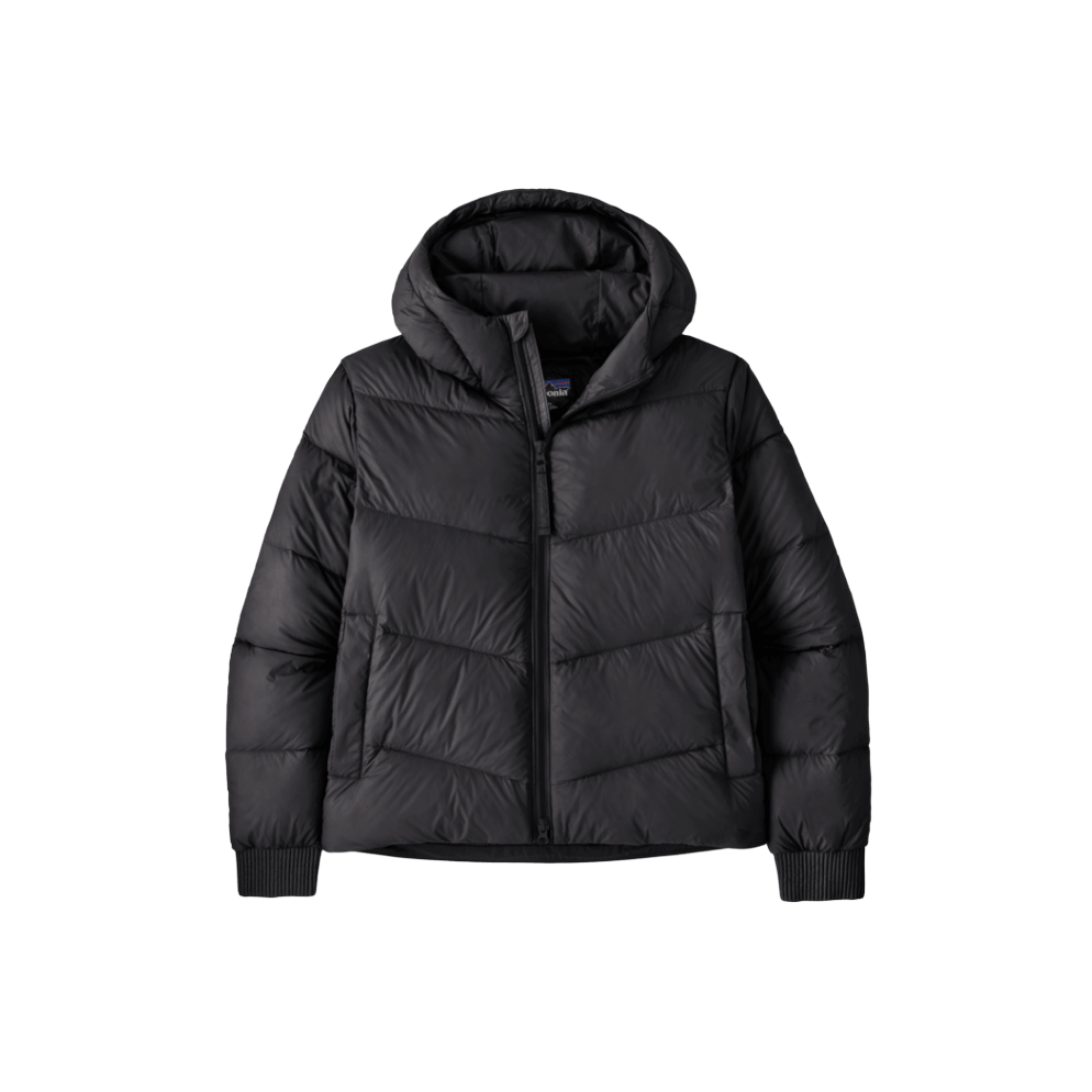 Patagonia Women's Sindit Hoody Jacket